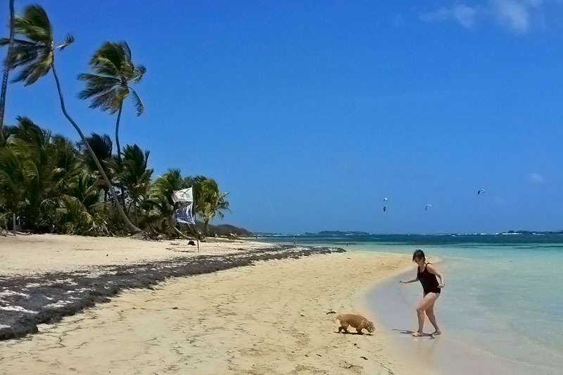 France, Martinique
